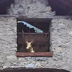 Tra E Monti Dizzasco