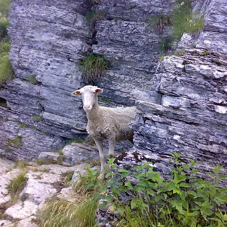 Tra E Monti Hébergement de vacances Dizzasco