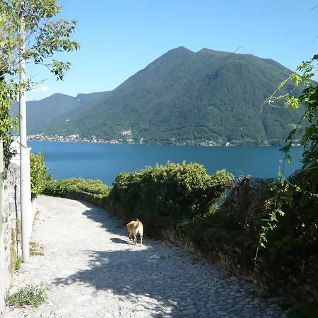 Tra E Monti * Dizzasco