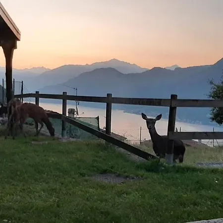 Tra E Monti *