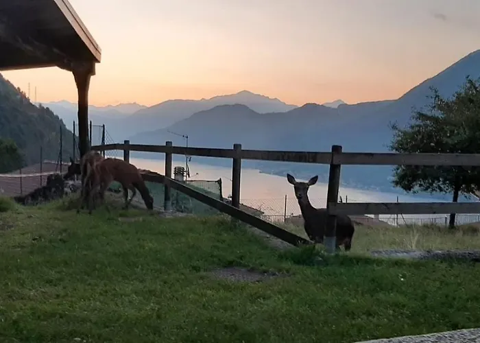 Tra E Monti Hébergement de vacances *