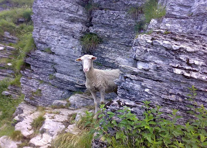 Tra E Monti Hébergement de vacances Dizzasco